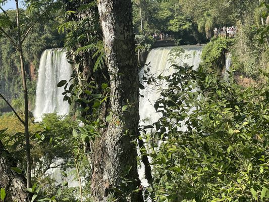 Iguazú National Park by null