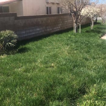 Advantage Landscapes - Landscaping Near Me