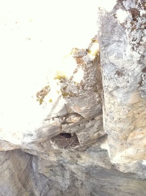 Maligne Canyon by null