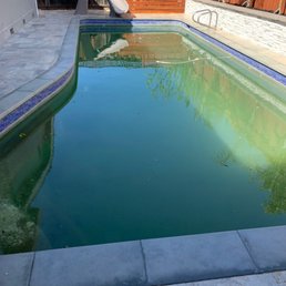 Green pool!