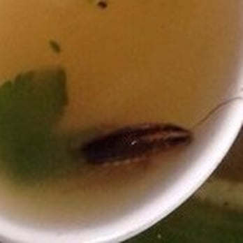 Pho Asian Star - Vietnamese Near Me - Corinth, Texas Pho Asian Star - Vietnamese Near Me - Corinth, Texas