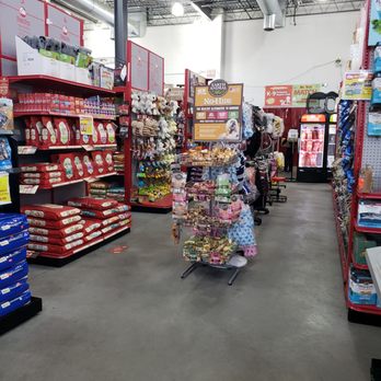K9 Caterers - Pet Stores Near Me - Glendale, New York