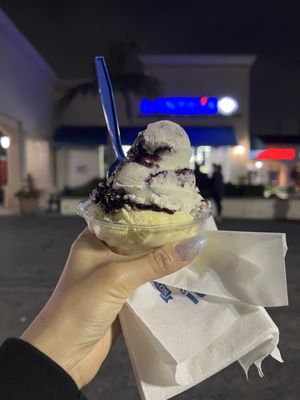 Handel's Homemade Ice Cream & Yogurt by null