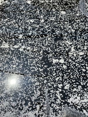 J.Q. Dickinson Salt-Works by null