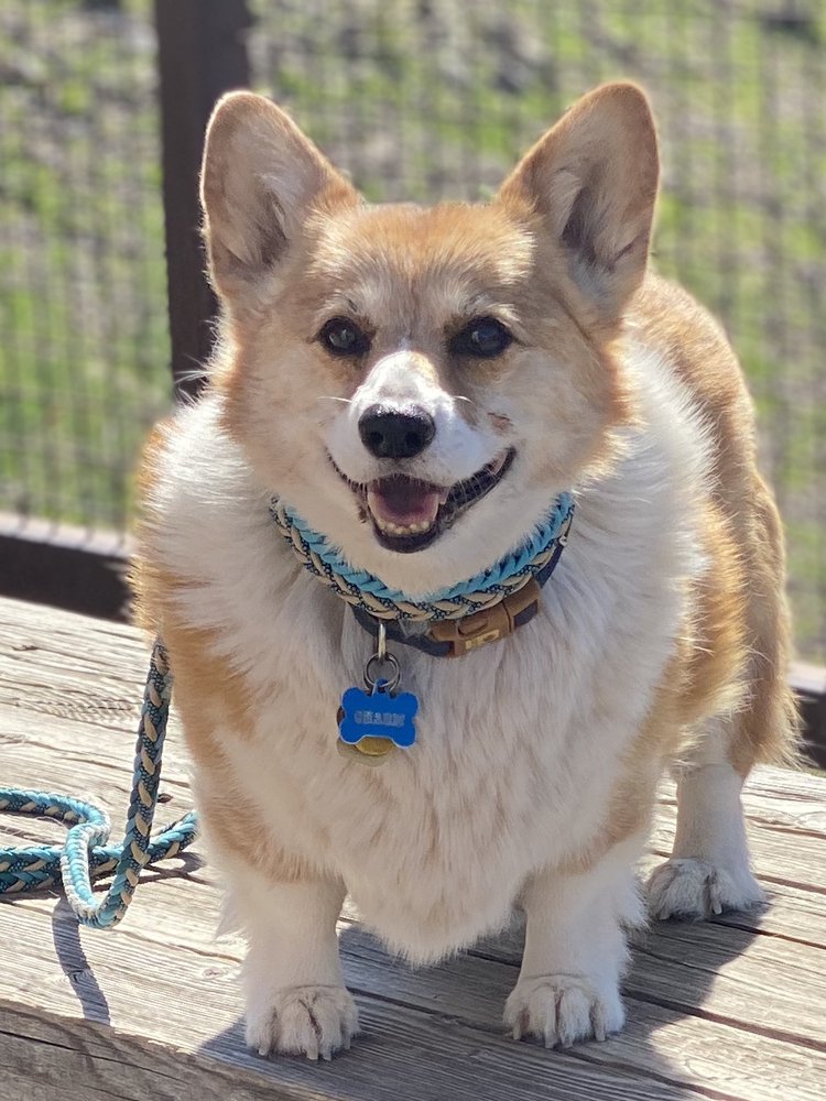 LAUGHING DOG FARM Updated October 2024 833 Rancho Algodones Rd, Las