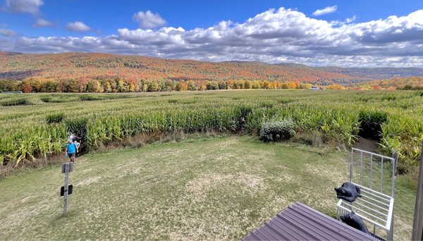 Great Vermont Corn Maze by null