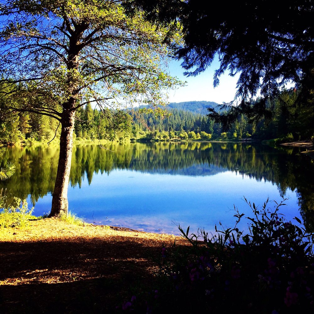 WHITE PINES PARK & LAKE 47 Photos & 18 Reviews 1965 Blagen Rd