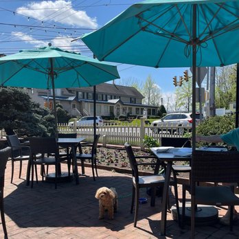 Earl's New American - a dog sitting under umbrellas - Seafood Near Me - New Hope, Pennsylvania Earl's New American - a dog sitting under umbrellas - Seafood Near Me - New Hope, Pennsylvania