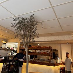 Bloome by Sasha - Tiny but mighty kitchen.