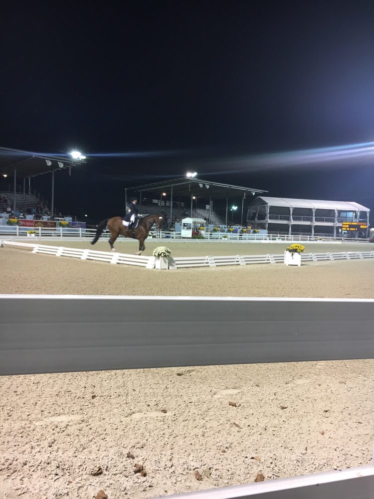 Dressage At Devon - equestrian in Berwyn, PA