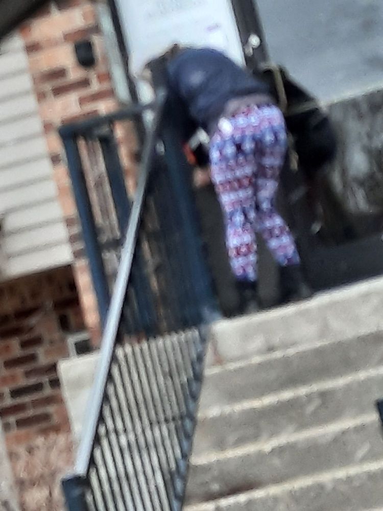 BEAR PROPERTY MANAGEMENT Updated September 2024 30 Photos 4015