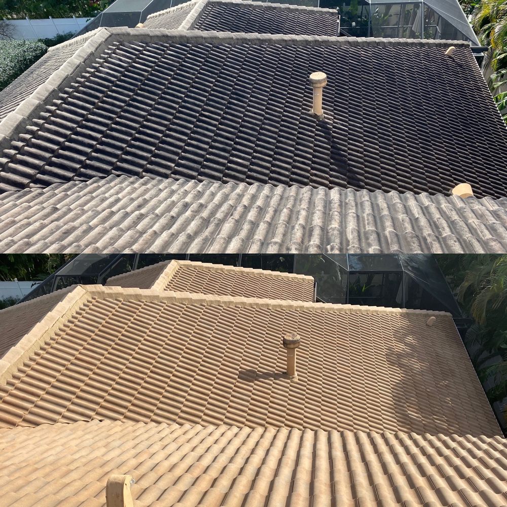 Slide of Beyond Pressure Washing & Roof Cleaning
