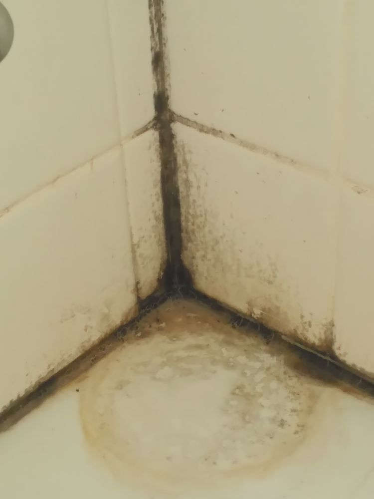 Slide of American Integrity Contracting