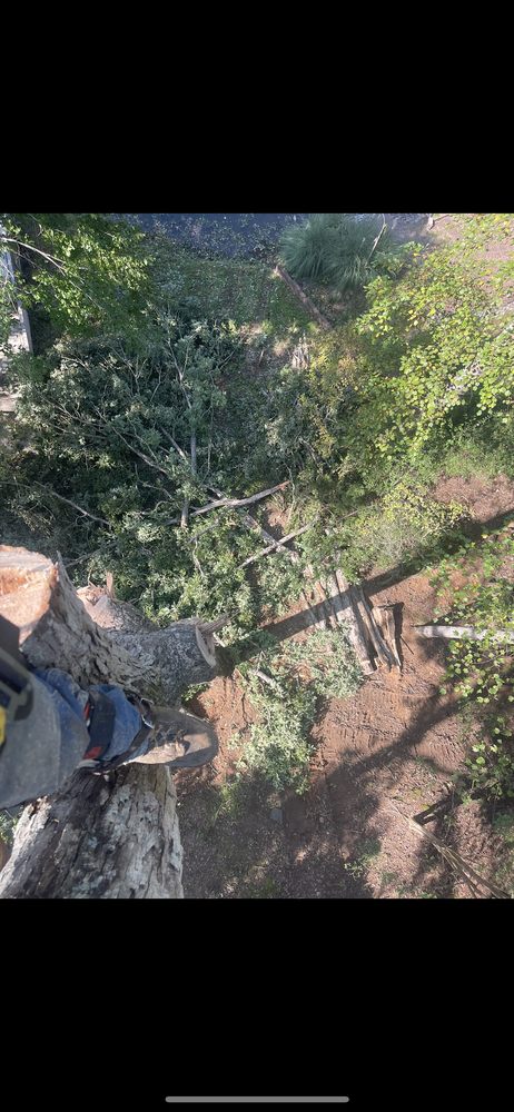 Blue Mountain Grading - septic in Pickens, SC