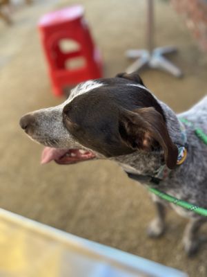 Yellow Paper Burger by null