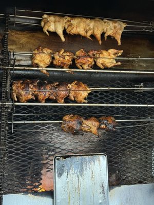 Little Chicken House by null