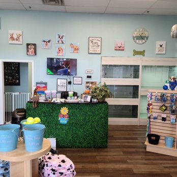 SiD's Grooming & More - Pretty place - Pet Groomers Near Me - Santa Fe, Texas