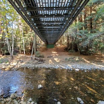 Buzzard's Roost Trail - Hiking Near Me