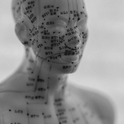 Shoreline Acupuncture - Acupuncture Treatments
Call Today to Schedule (516) 783-1454