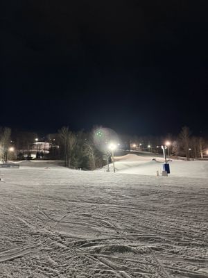 Timberline Mountain by null