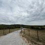 Photo of Betton Fencing