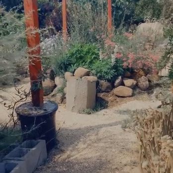 Ploughshares Nursery - Nurseries & Gardening Near Me - Alameda, California Ploughshares Nursery - Nurseries & Gardening Near Me - Alameda, California