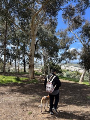 Junípero Serra Museum by null