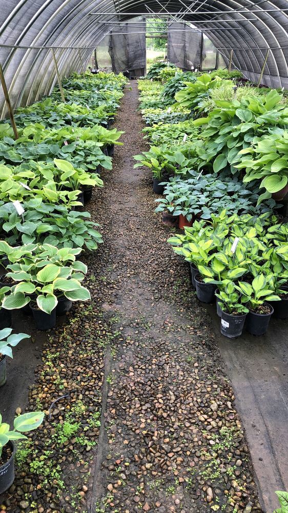 BOB SCOTT NURSERY Updated April 2024 12 Photos 10116 W Wilshire