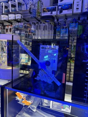 LAX Aquarium by null