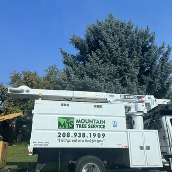Mountain Tree Service - Tree Services Near Me