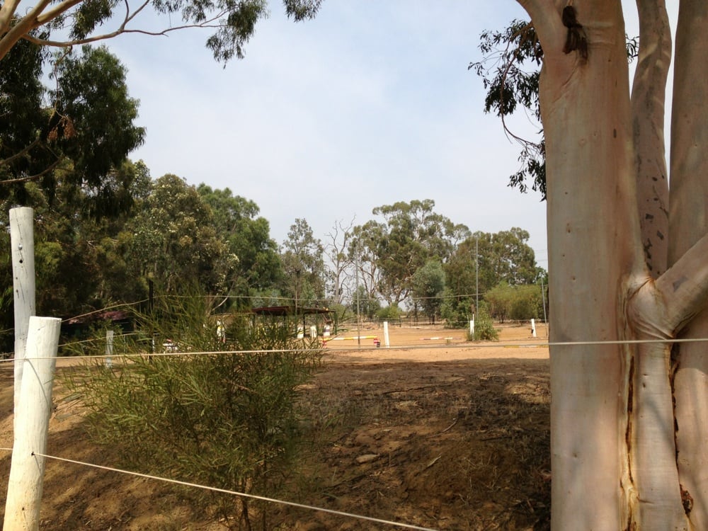 AVONLEA FARM RIDING Updated June 2024 425 Victor Rd, Darlington