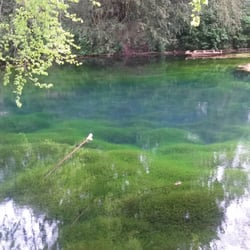 Silent Pool - The pool in all it's glory, you can see straight to the bottom and it's eerie blue colour..