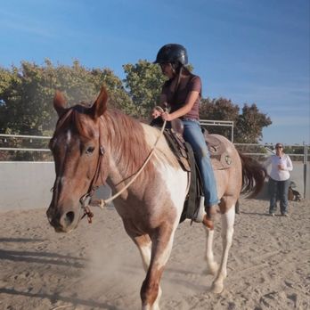 Rod's Rockin'  Ranch - Horseback Riding Near Me
