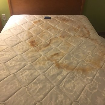 Motel 6 - Hotels Near Me - Bloomsburg, Pennsylvania Motel 6 - Hotels Near Me - Bloomsburg, Pennsylvania