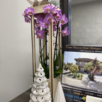 UC Financial Solutions - Xmas corner of 2025 #ucfinancialsolutions #christmasdeco - Tax Services Near Me - Newport Beach, California UC Financial Solutions - Xmas corner of 2025 #ucfinancialsolutions #christmasdeco - Tax Services Near Me - Newport Beach, California