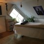 Photo of Putney Energy Healing