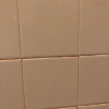 Valley River Inn by Valley River inn - Hair on the shower wall - Hotels Near Me - Eugene, Oregon Valley River Inn by Valley River inn - Hair on the shower wall - Hotels Near Me - Eugene, Oregon