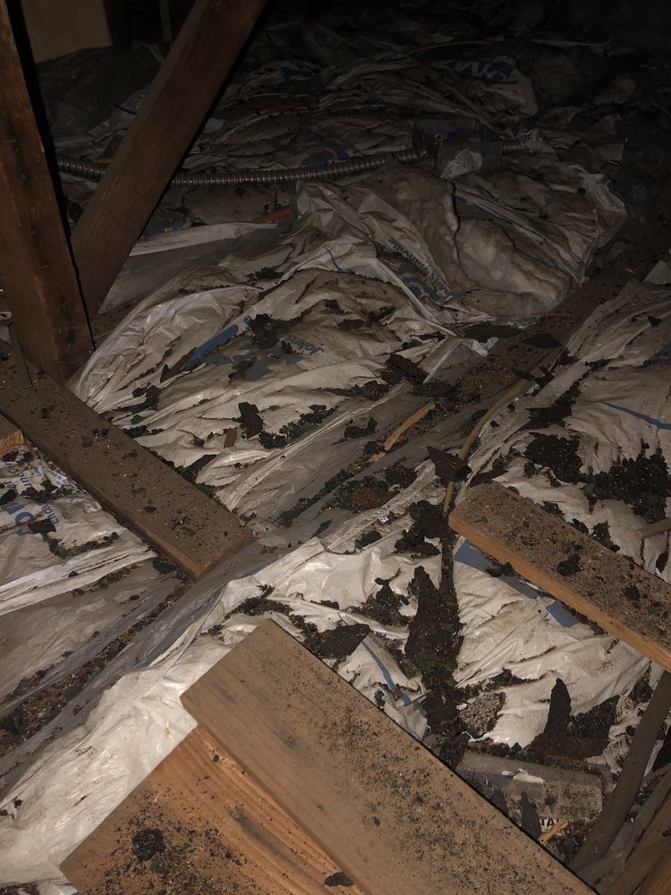 Slide of ANR Roofing