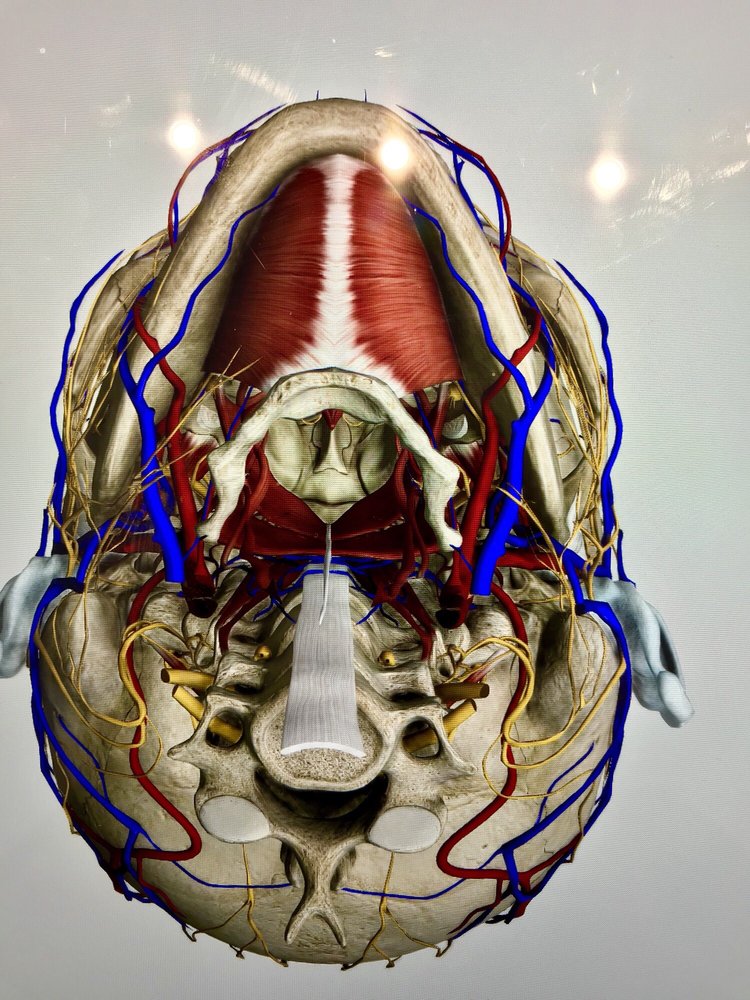 CHOC CHILDREN’S CHILDREN’S HOSPITAL OF ORANGE COUNTY 326 Photos