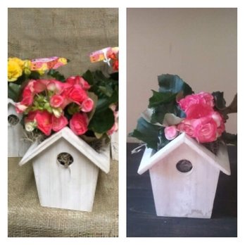 Amy's Flowers - Ordered the flowers on the left but got the one on the right. A little disappointed with the lack of flowers. - Florists Near Me - Presque Isle, Maine Amy's Flowers - Ordered the flowers on the left but got the one on the right. A little disappointed with the lack of flowers. - Florists Near Me - Presque Isle, Maine
