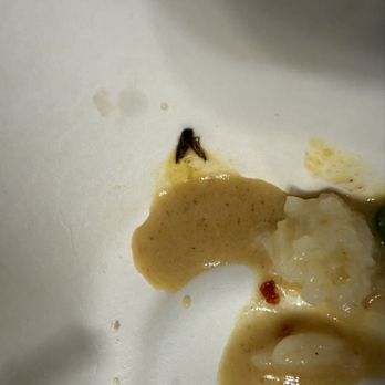 Thai Recipe - Mosquito / bug - Thai Near Me - Incline Village, Nevada Thai Recipe - Mosquito / bug - Thai Near Me - Incline Village, Nevada