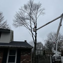 Blue Rock Tree Care