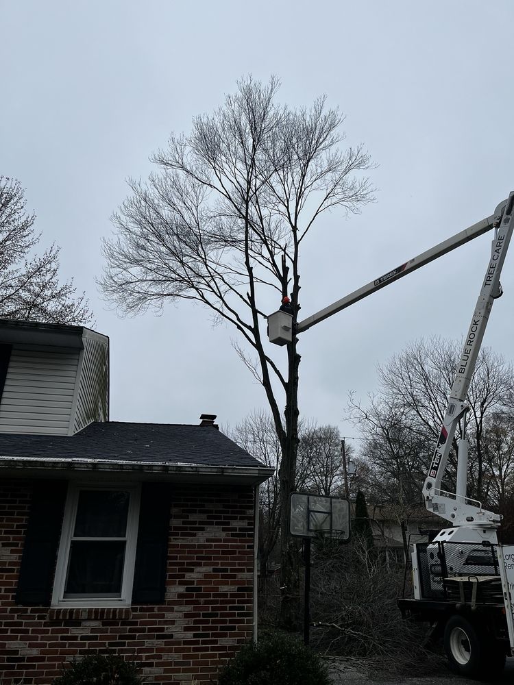 Blue Rock Tree Care - tree service in Wilmington, DE