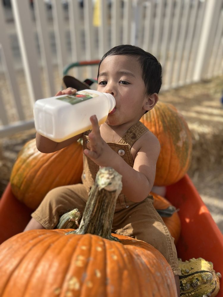 Gilcrease Orchard