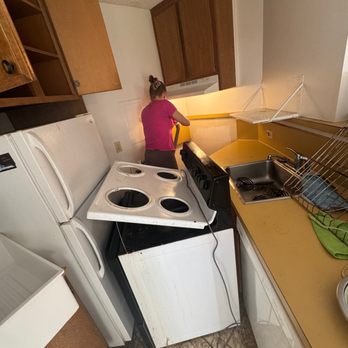 Pink Glove Cleaning Queens - Cleaning the bugs up. - Home Cleaning Near Me
