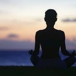 Sanctuary Z - Want to learn life coping skills so you can feel better in your body and your mind today and in the future? That's what we do at Sanctuary Z