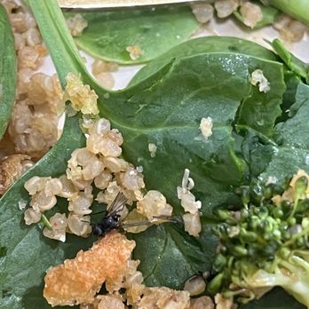 sweetgreen - Healthy Salads, Wraps, and Bowls - Salad bowl with a side of dead bug. Thanks, Sweetgreen!! - Salad Near Me - Burbank, California