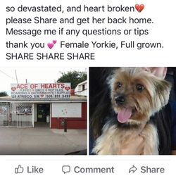 Ace of Hearts Kennel