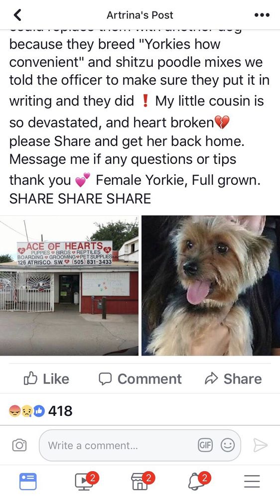 ACE OF HEARTS KENNEL Updated October 2024 19 Reviews 126 Atrisco