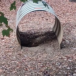 Millbrook Exchange Dog Park - For dogs that have a b in their bottom